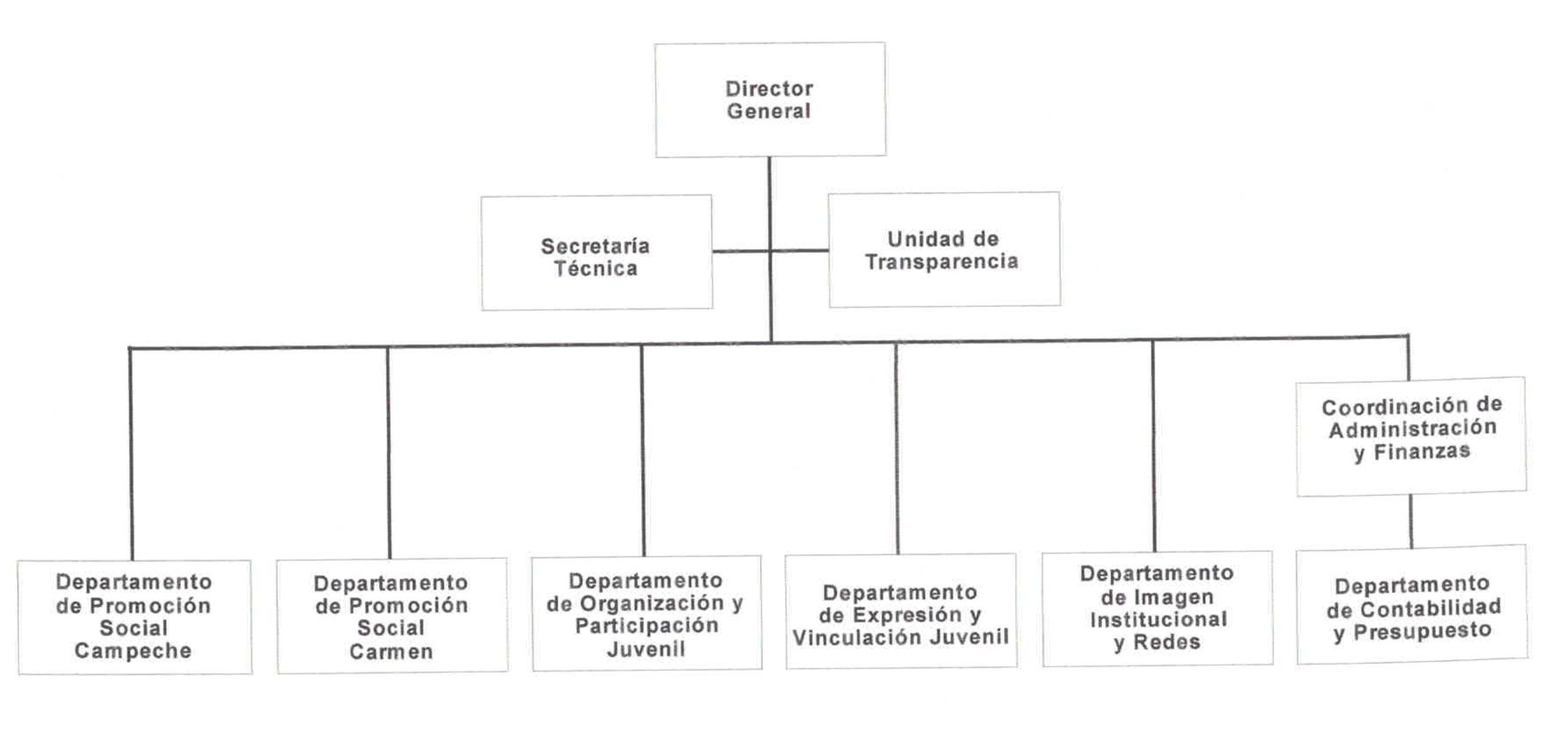 Manual de Organizacion injucam