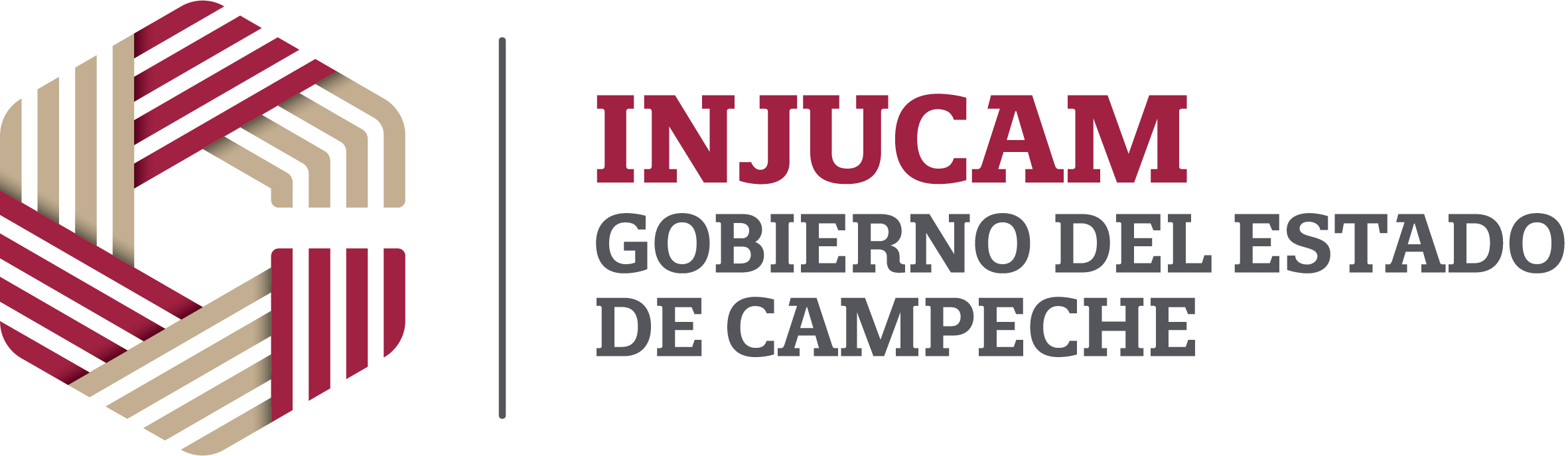 INJUCAM